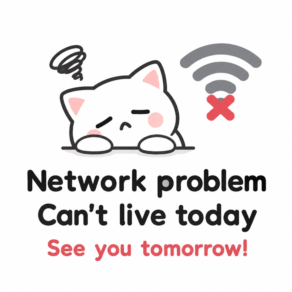 No Live Today — See You Tomorrow! 💗
