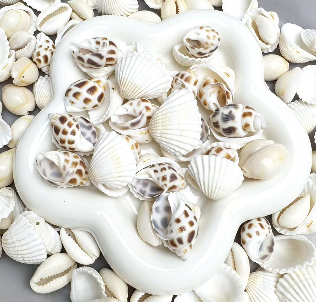 Seashell Chime Mix