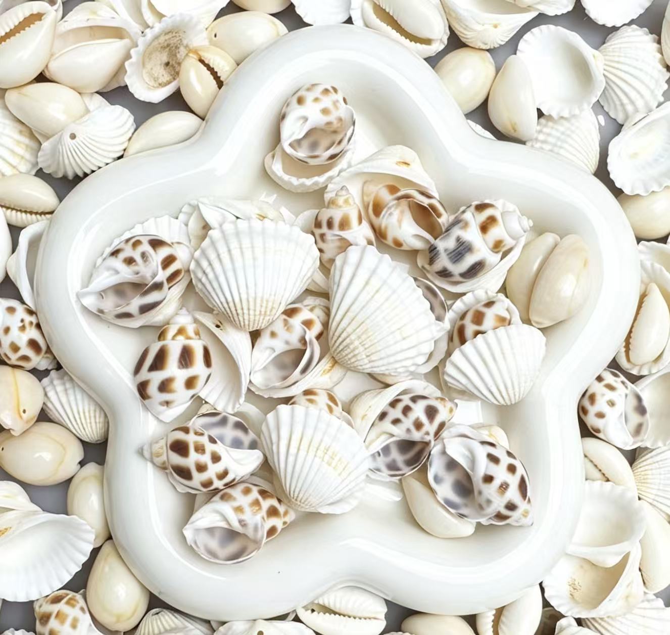 Seashell Chime Mix